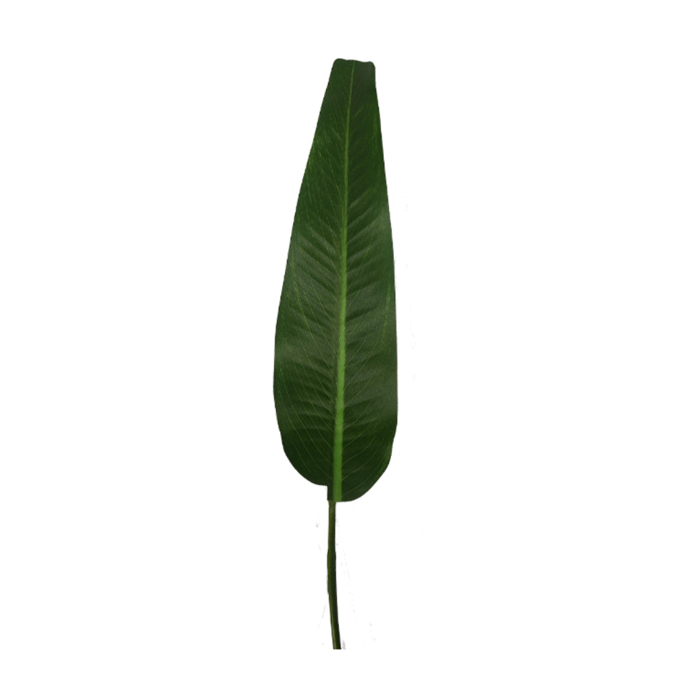 Bird Of Paradise Artificial Plant