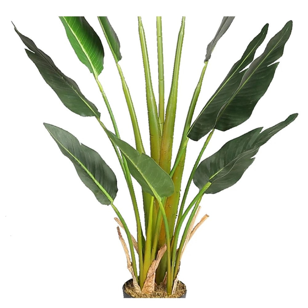 Artificial Bird Of Paradise Plant
