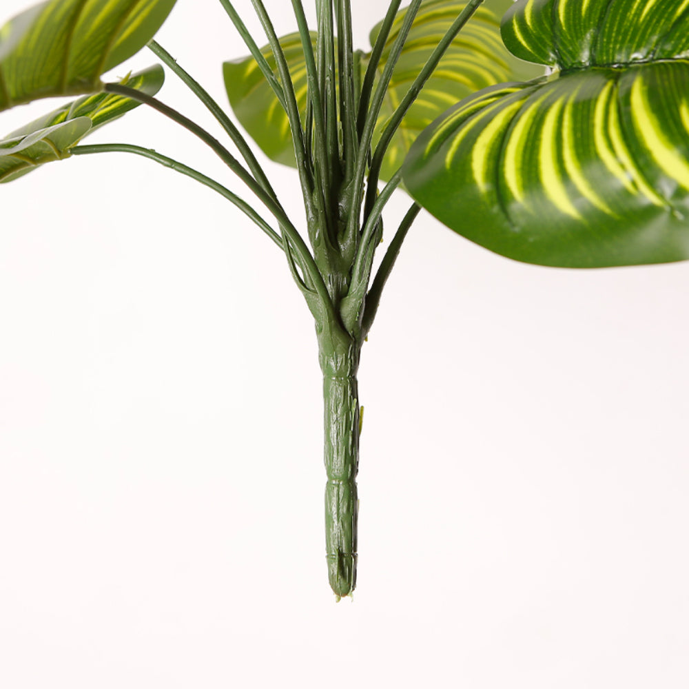 Artificial Calathea Plant for Office