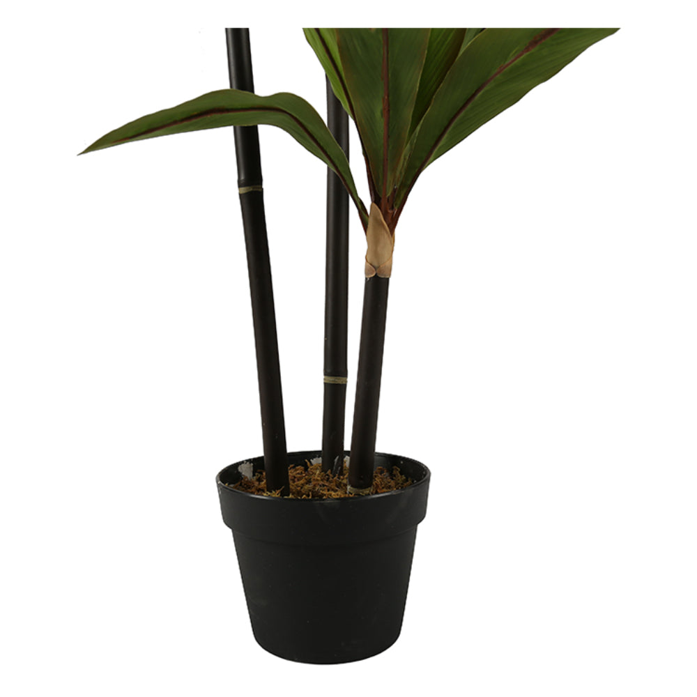 Artificial Dracaena Fragrans Plant