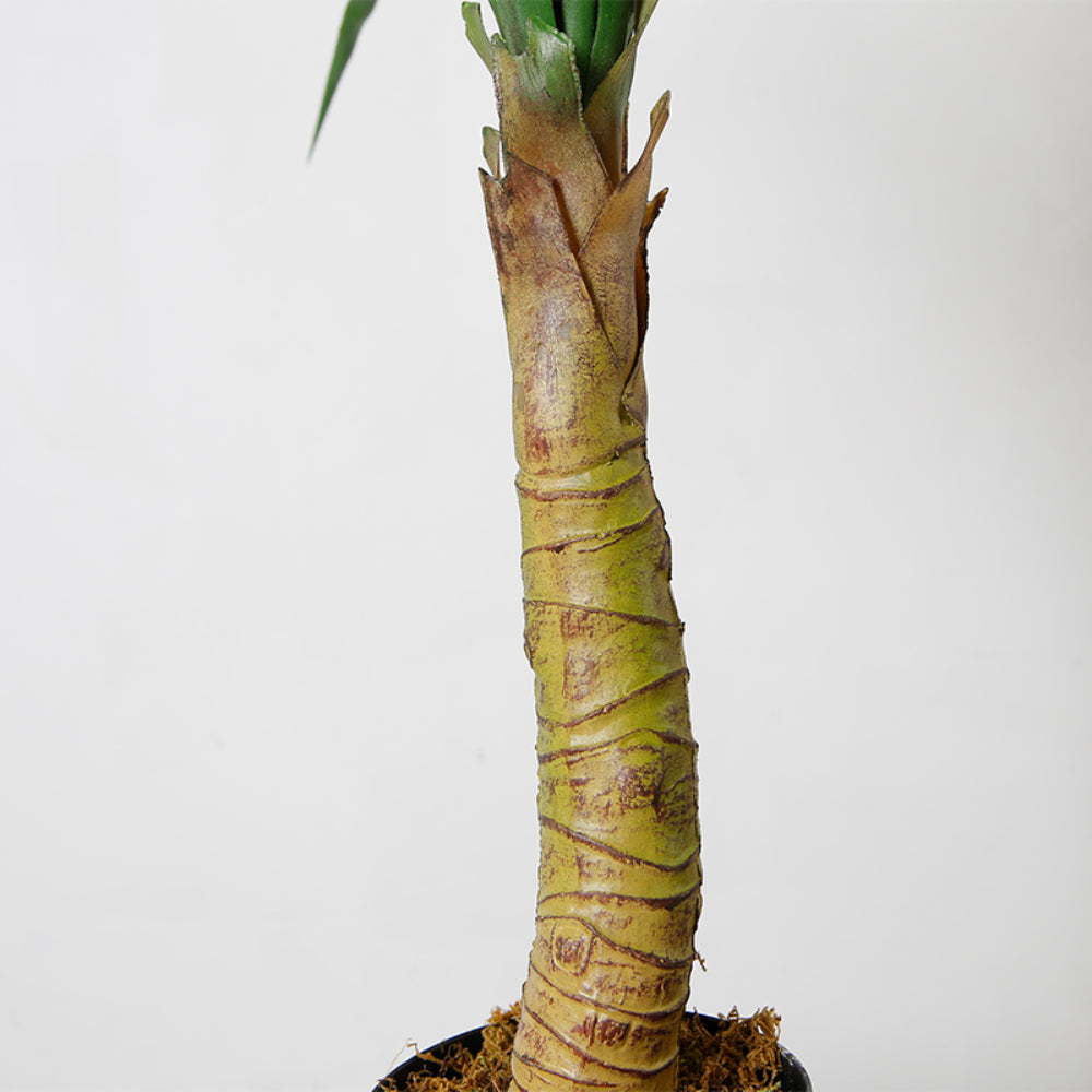 Artificial Dracaena Plant In Planter