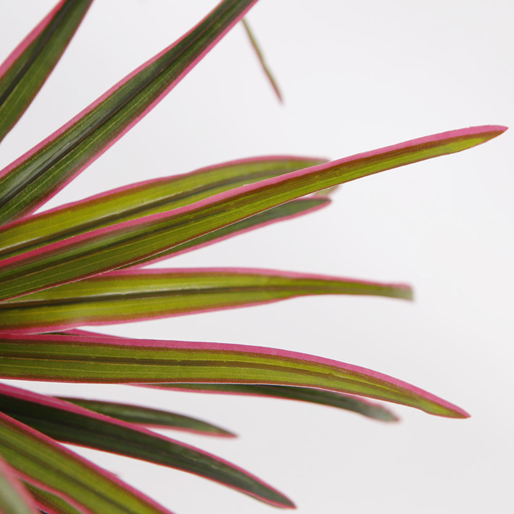 Artificial Dracaena Plant for Room