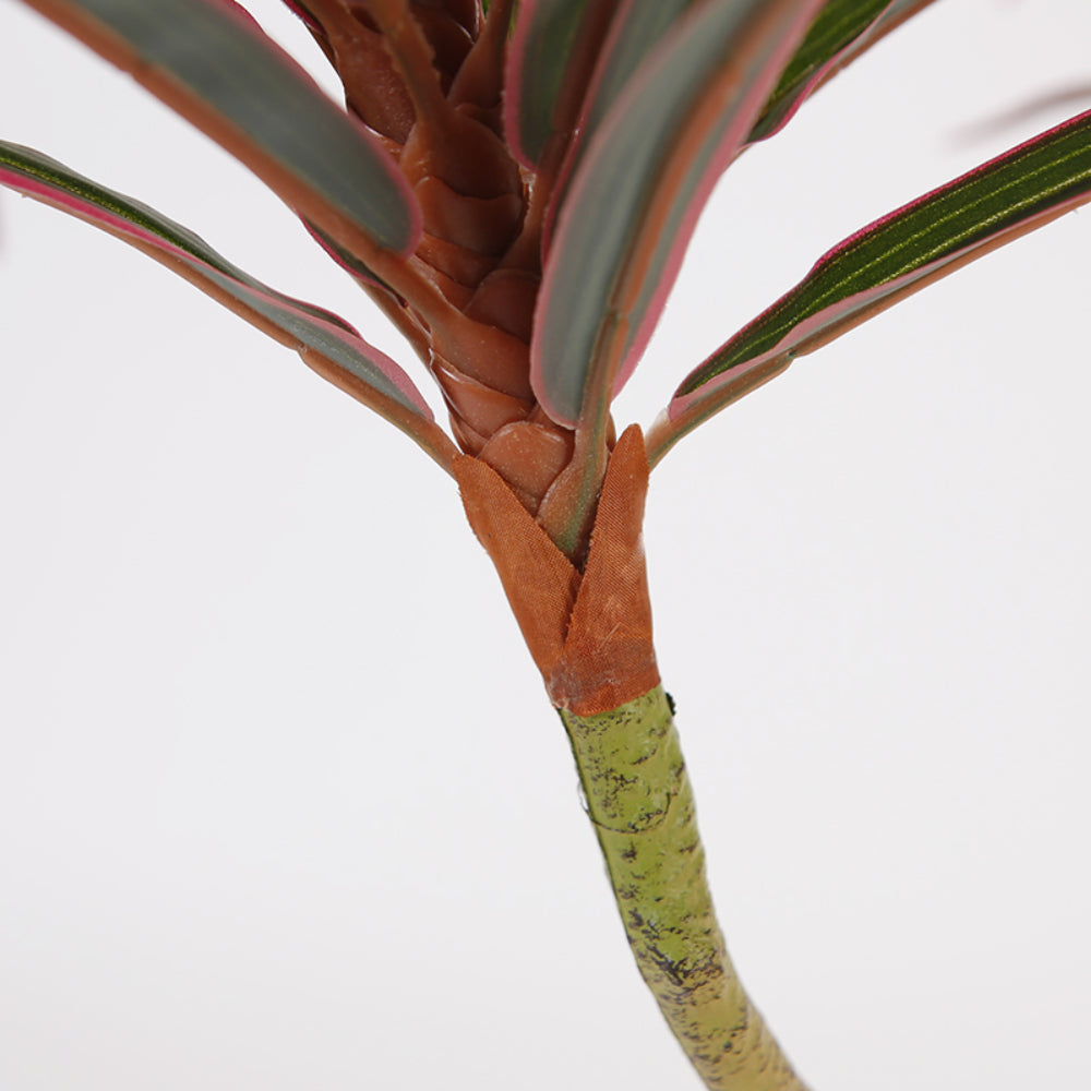 Artificial Dracaena Plant for Room