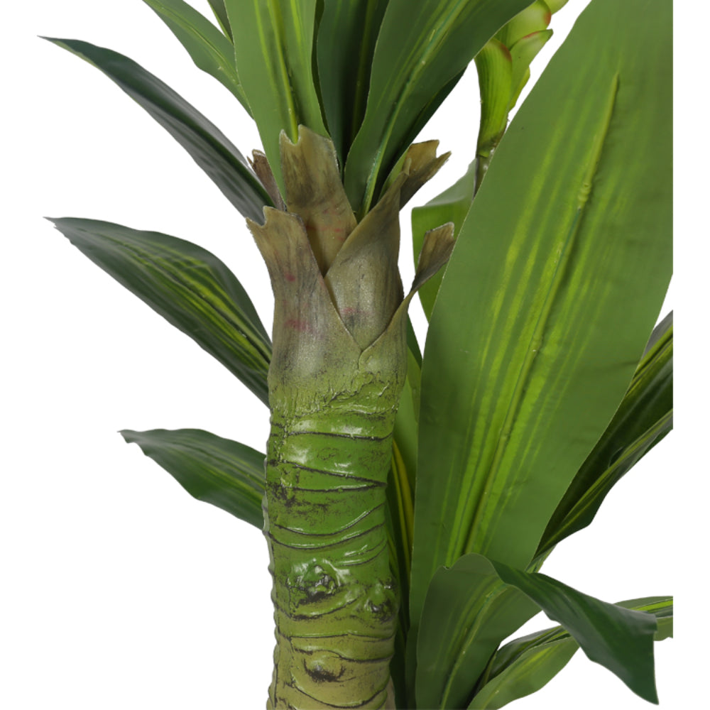 Artificial Dracaena Tree