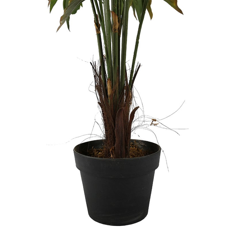 Artificial Fishtail Palm Tree