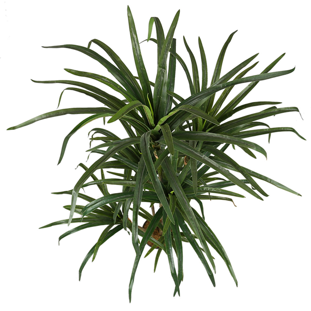 Artificial Slim Dracaena Plant