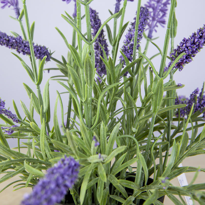 Artificial Lavender Potted Plant For Home Accents