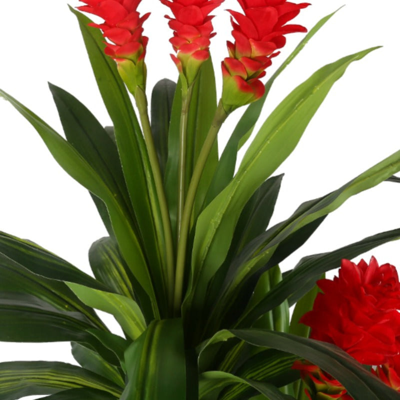 Cornstalk Dracaena Decorative Plants