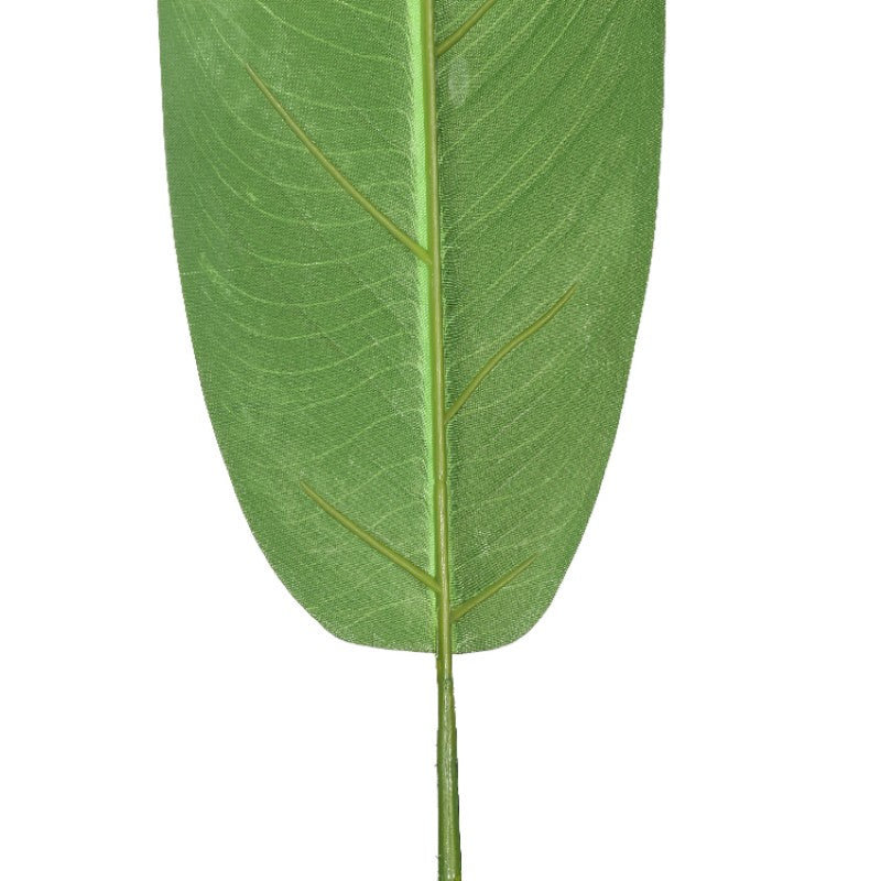 Eco Friendly Decoration Tree Plant