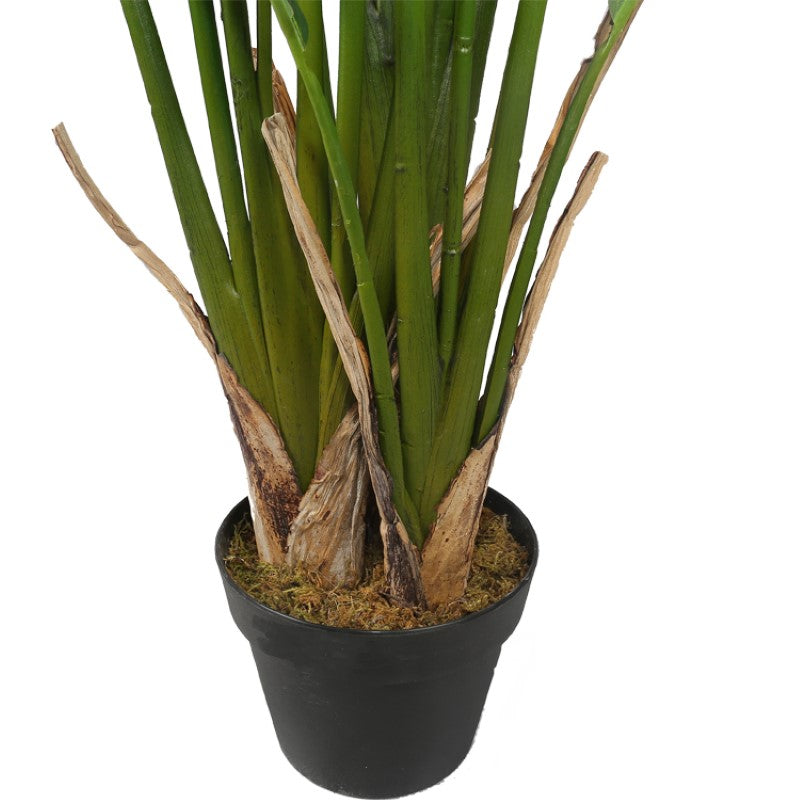 Eco Friendly Decoration Tree Plant