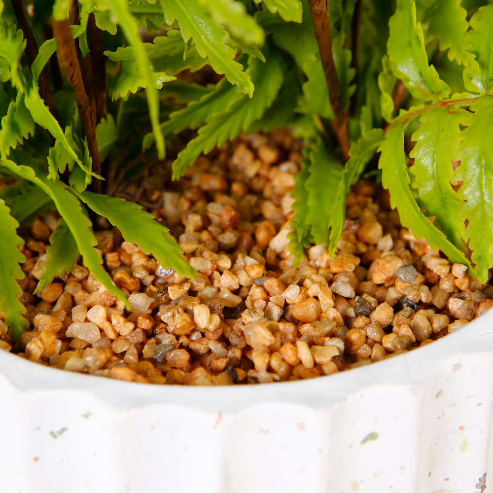 Faux Boston Fern Tree