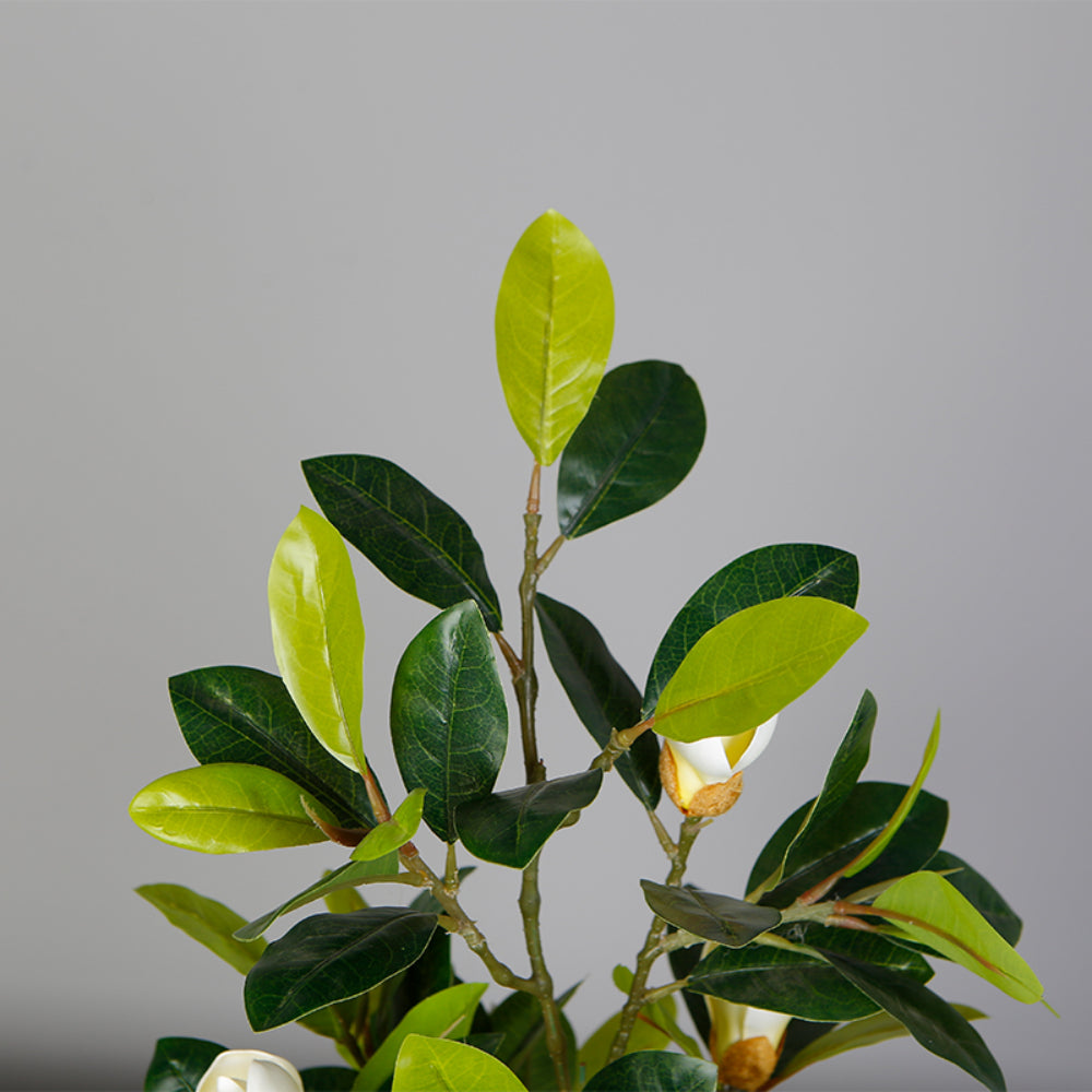 Faux Magnolia Plant In Pot