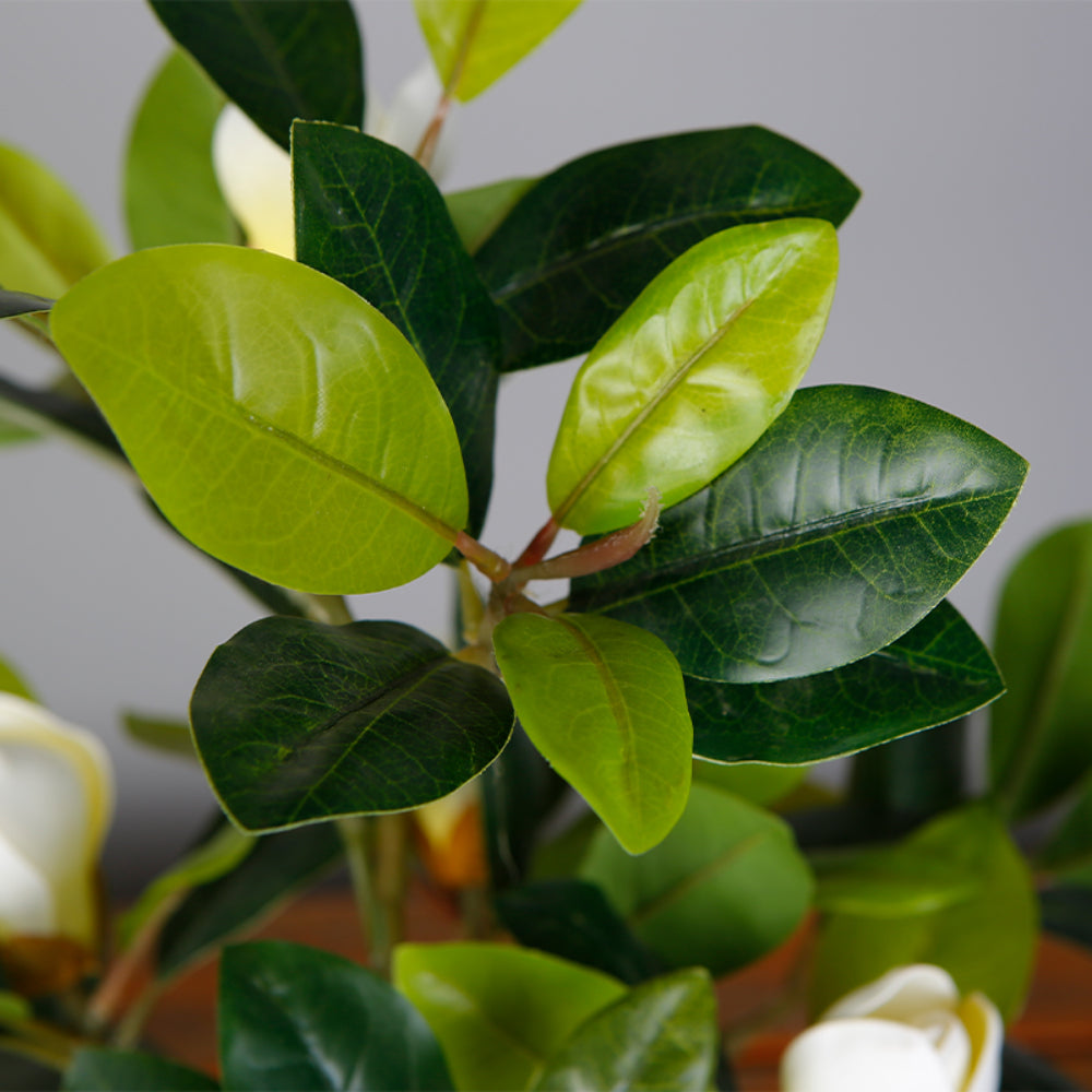 Faux Magnolia Plant In Pot
