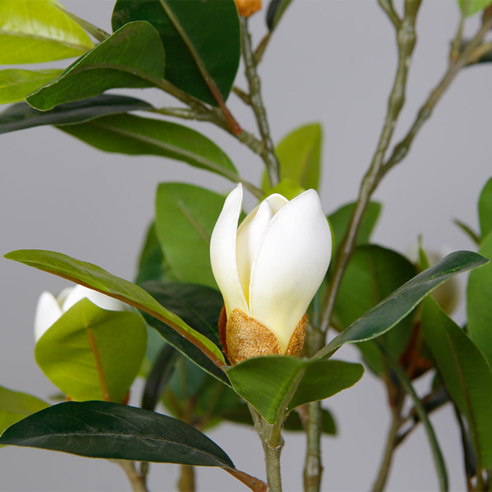 Faux Magnolia Plant In Pot