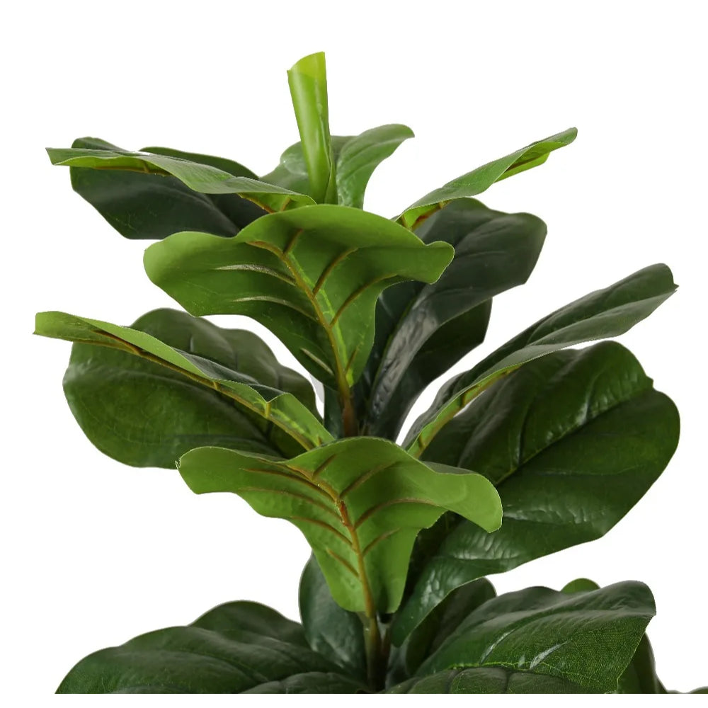 Ficus Lyrata Tree Decor