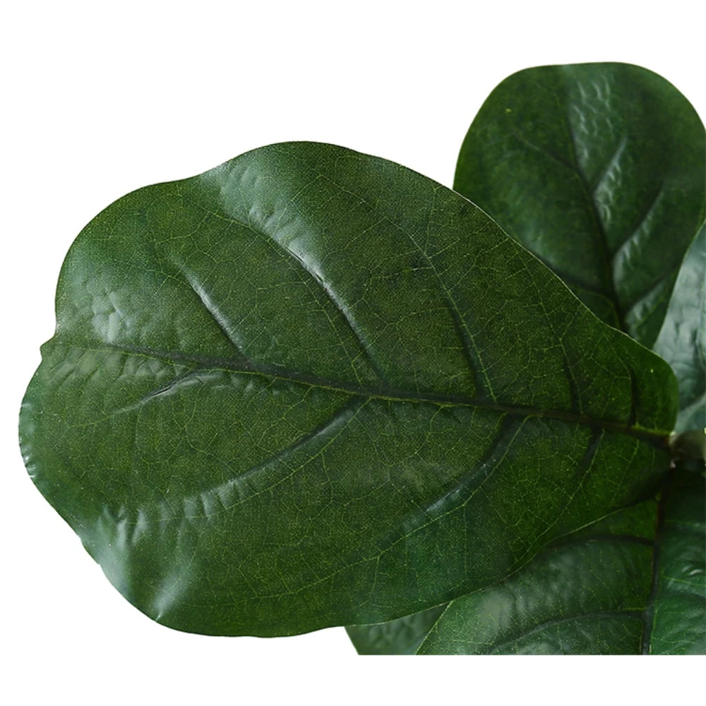 Ficus Lyrata Tree Decor