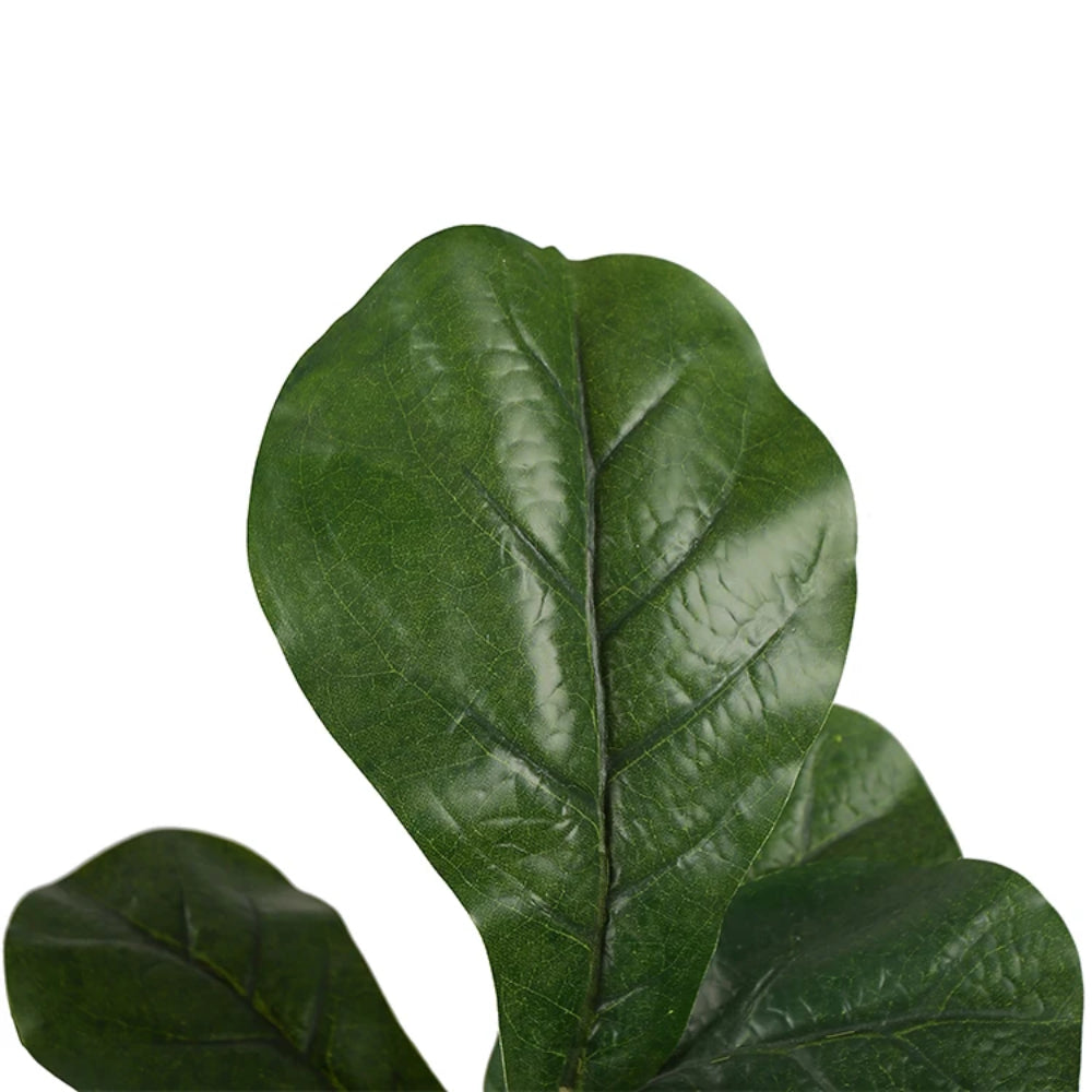 Ficus Lyrata Tree Decor