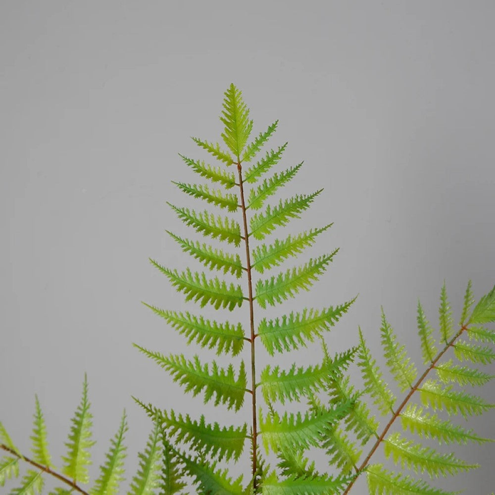 Greenery Fern Potted Tree