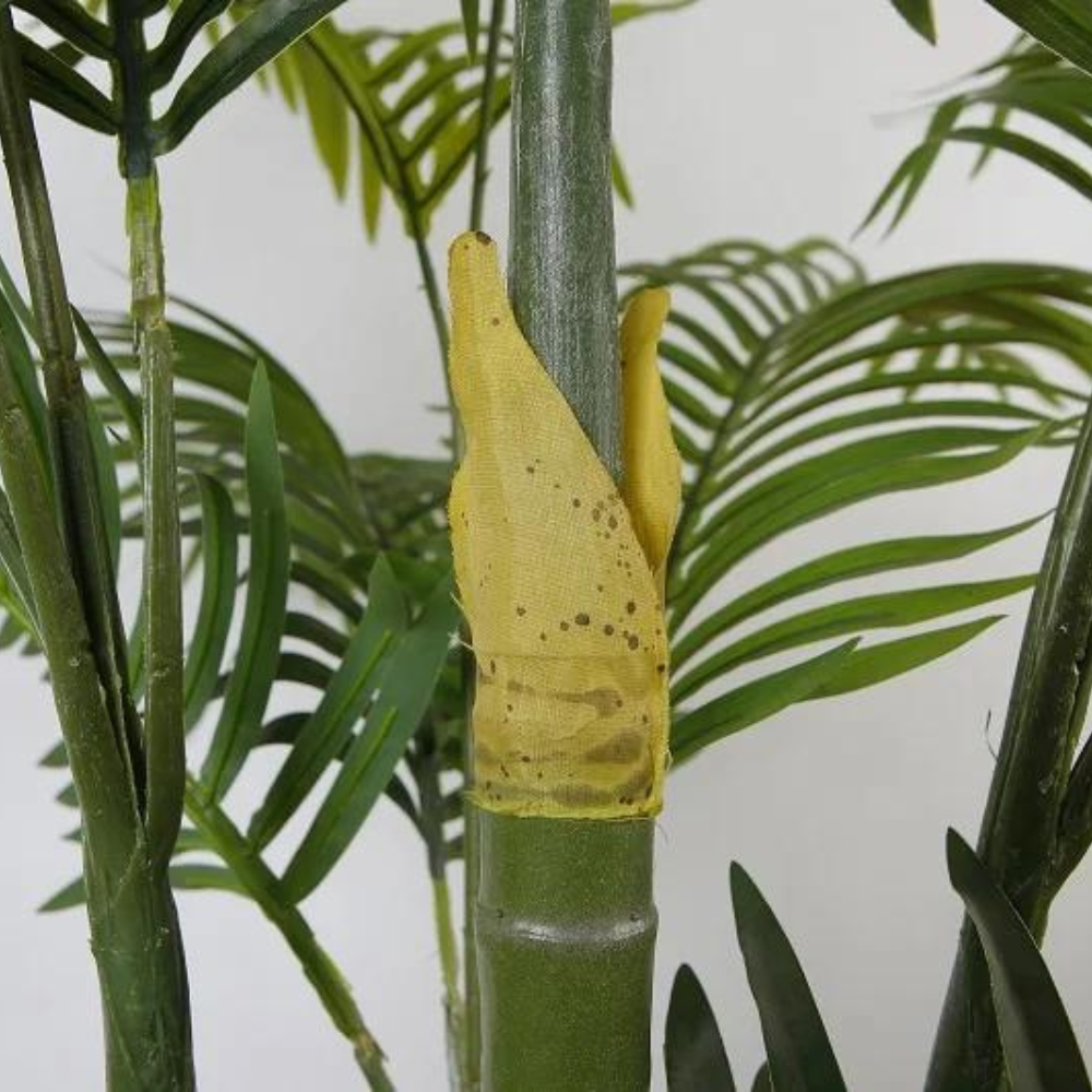Hawaii Indoor Decoration Plant
