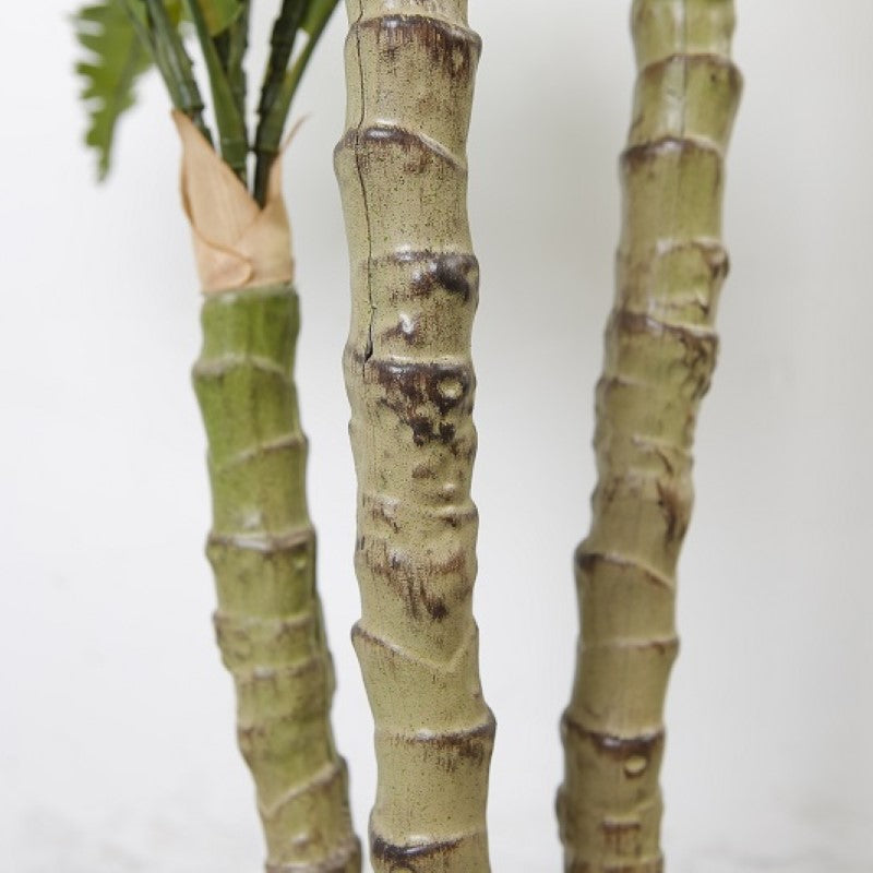 Imitation Bird Nest Fern Tree