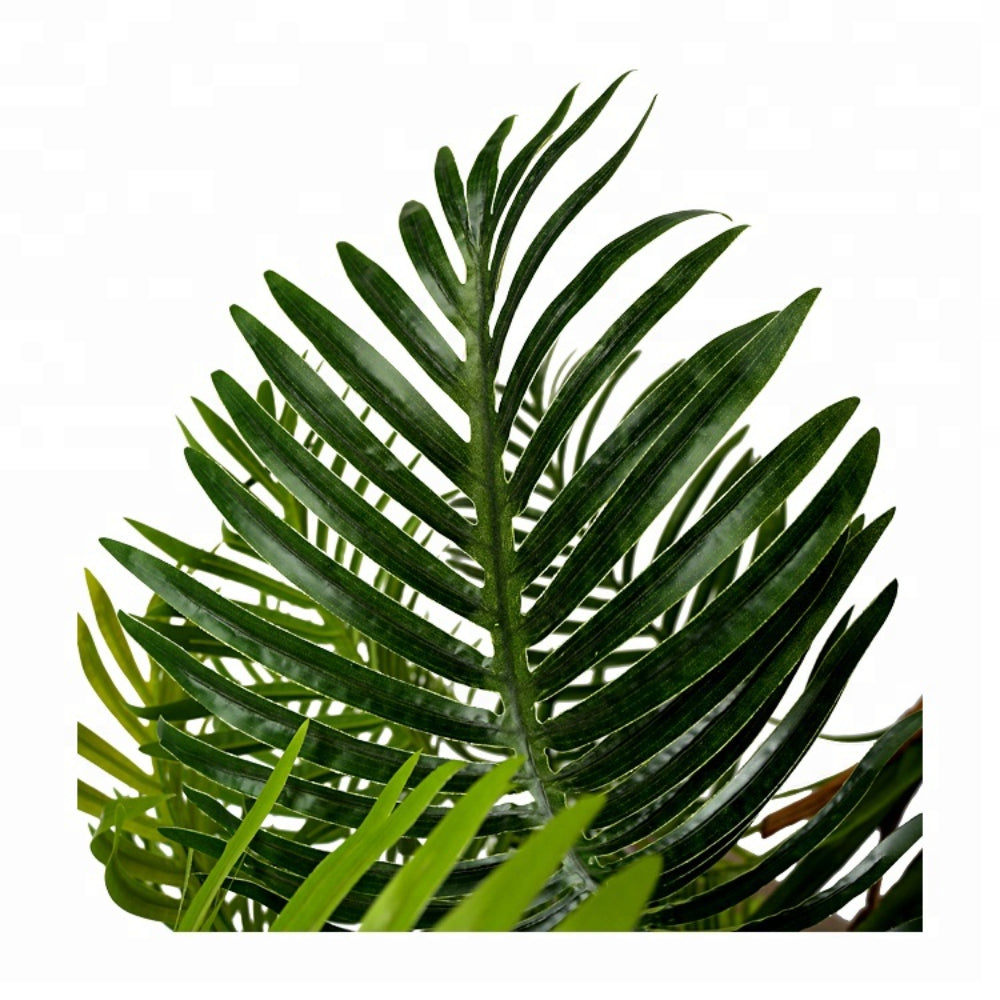 Indoor Decoration Areca Tree