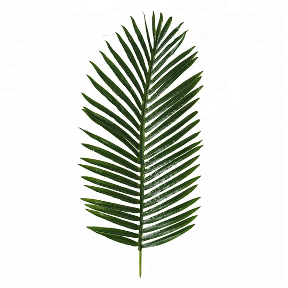 Indoor Decoration Areca Tree