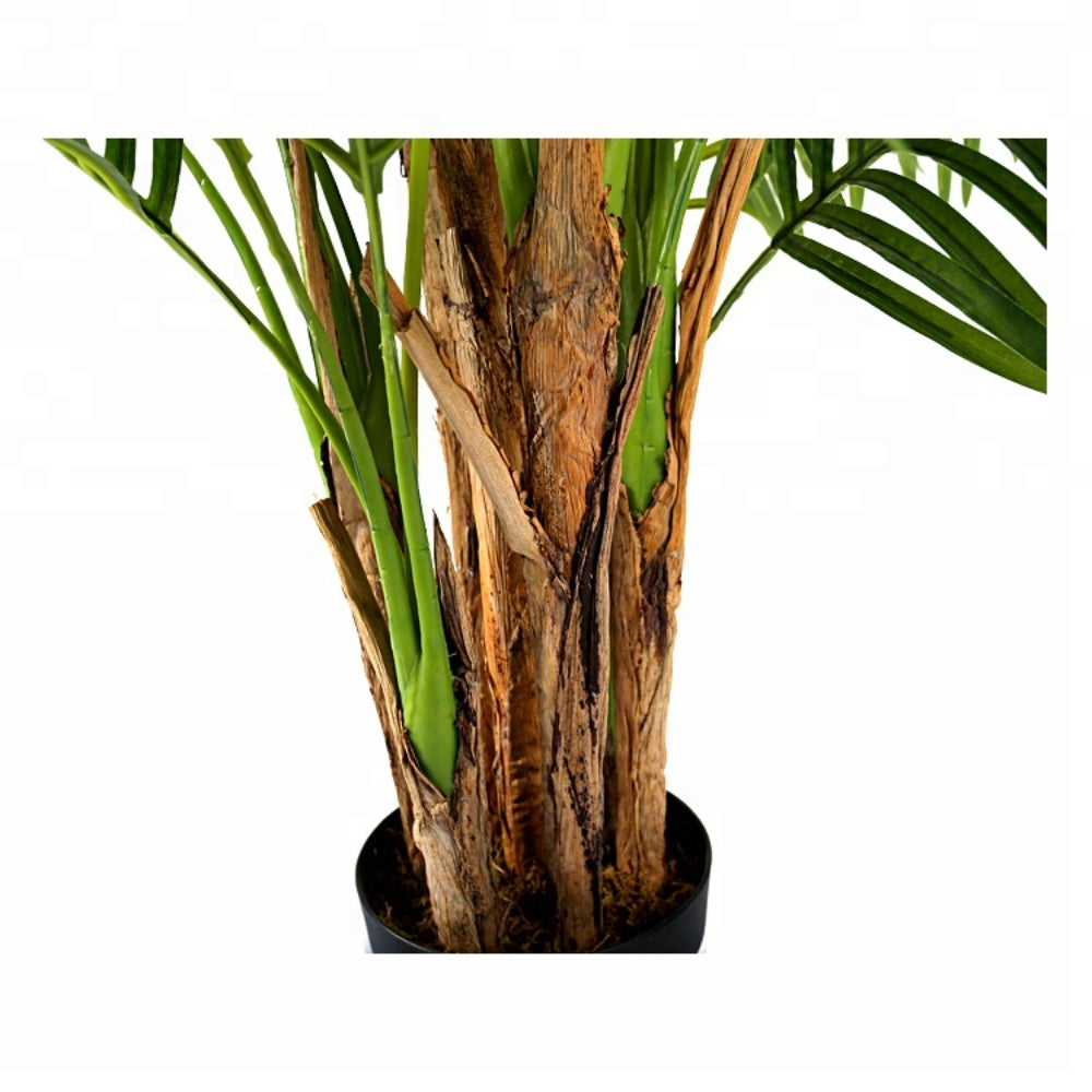 Indoor Decoration Areca Tree