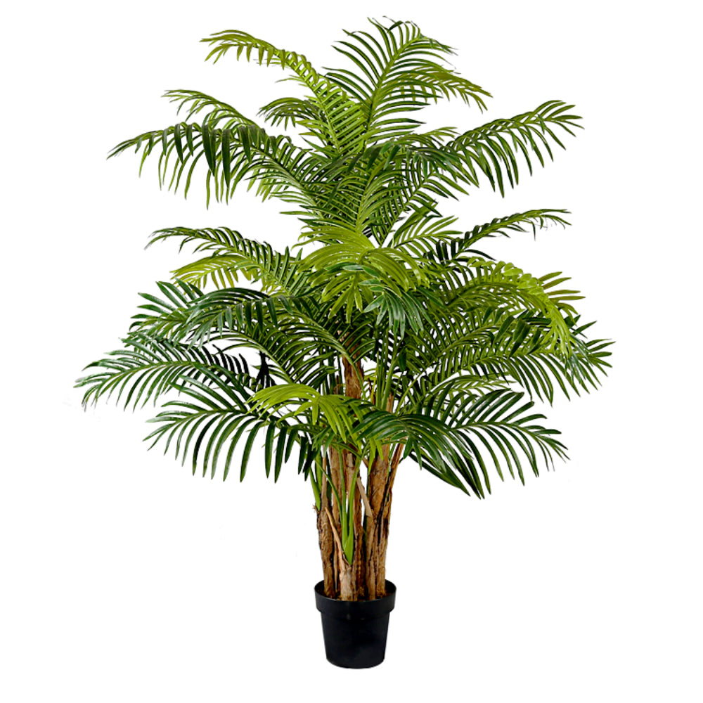 Indoor Decoration Areca Tree