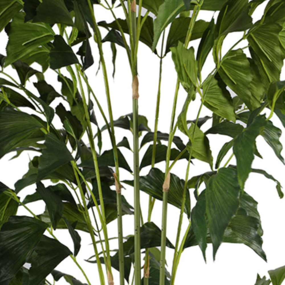 Indoor Decorative Fishtail Tree