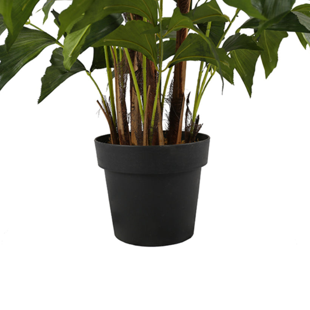 Indoor Decorative Fishtail Tree