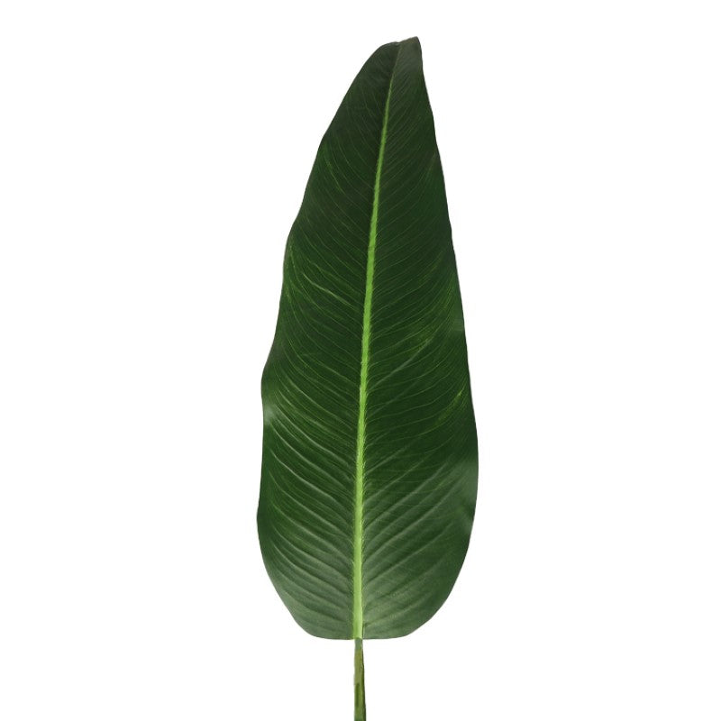 Indoor Plants Decorative Tree Plant