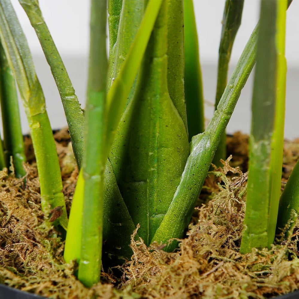 Natural Looking Artificial Plant