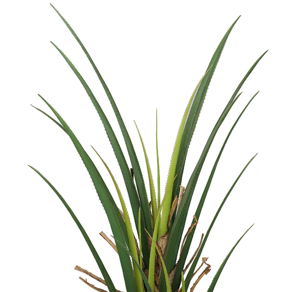Plastic Artificial Dracaena Tree