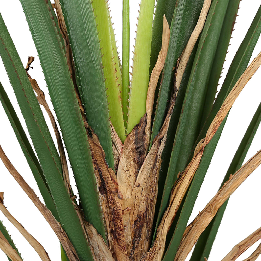 Plastic Artificial Dracaena Tree