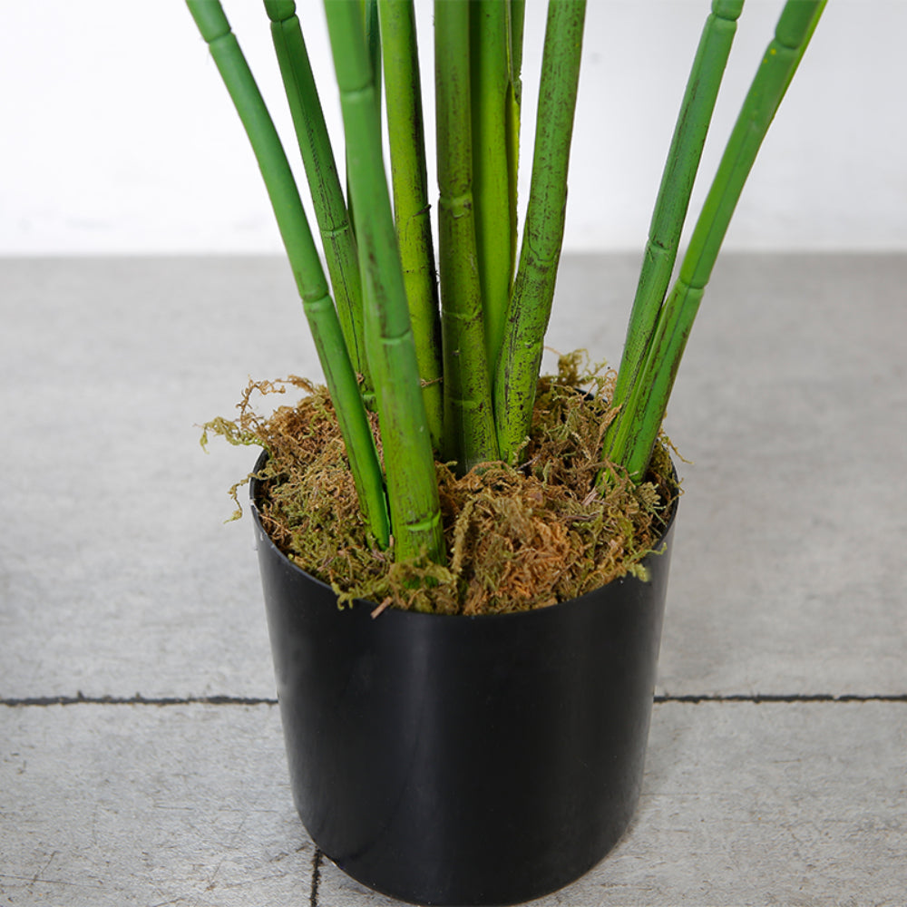 Potted Tropical Plant Decoration
