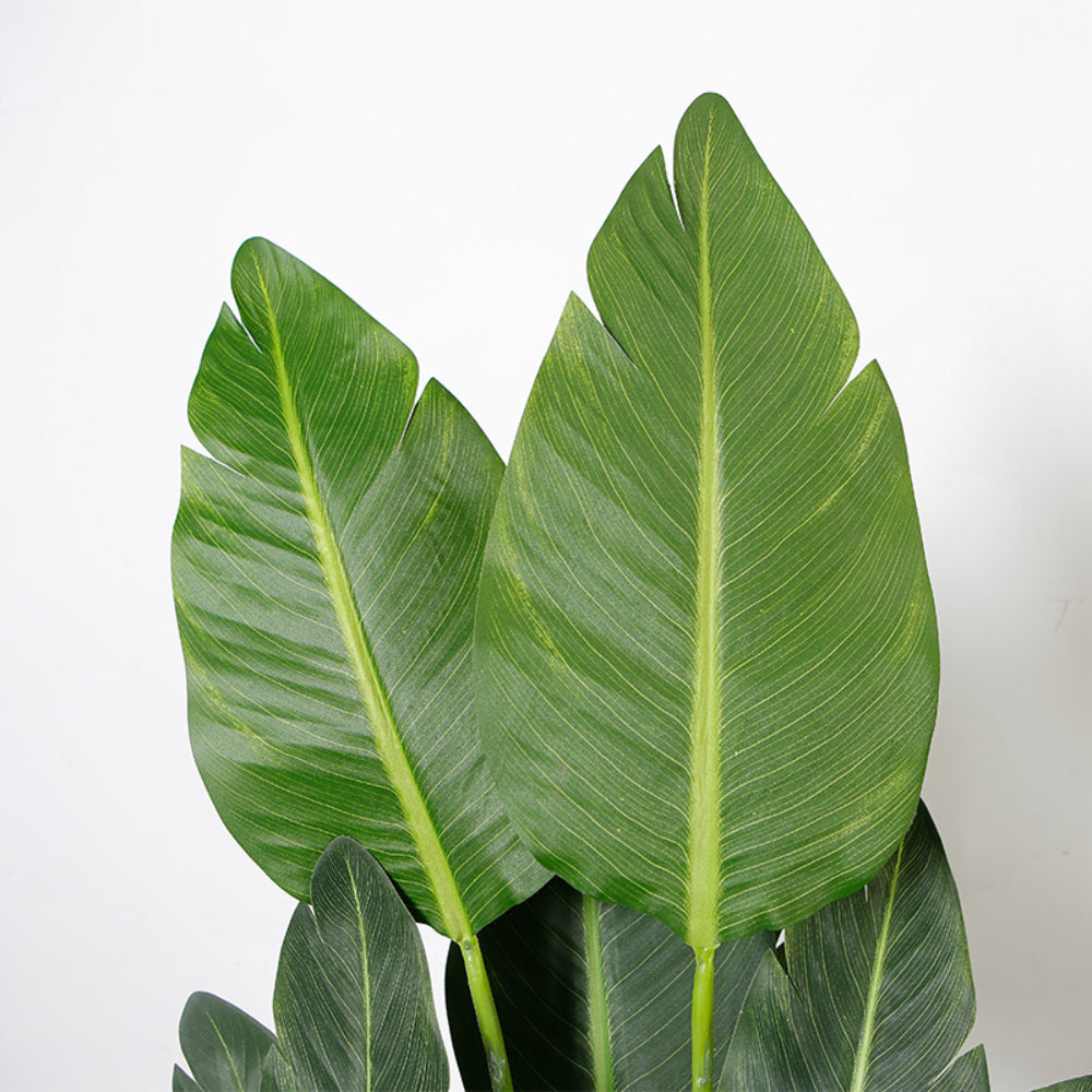 Potted Tropical Plant Decoration