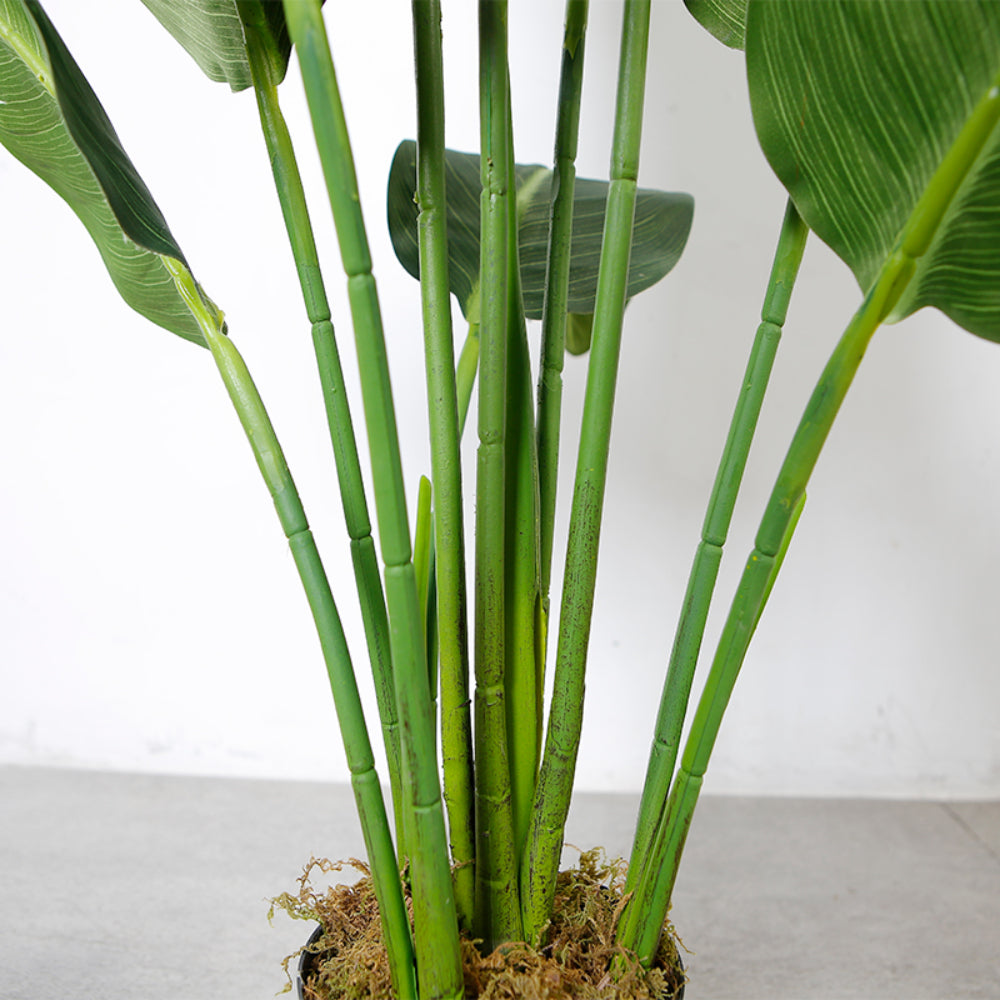 Potted Tropical Plant Decoration