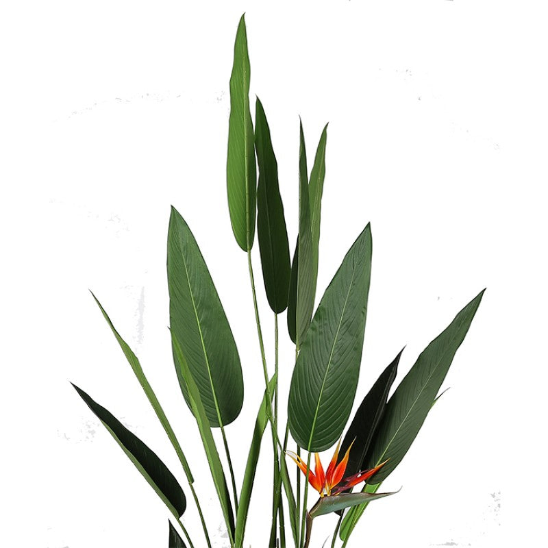 Strelitzia Reginae Artificial Tree