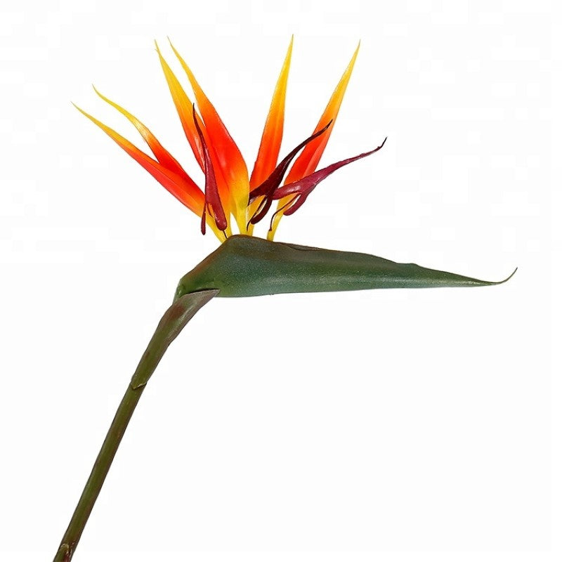 Strelitzia Reginae Potted Tree For Indoor Decor