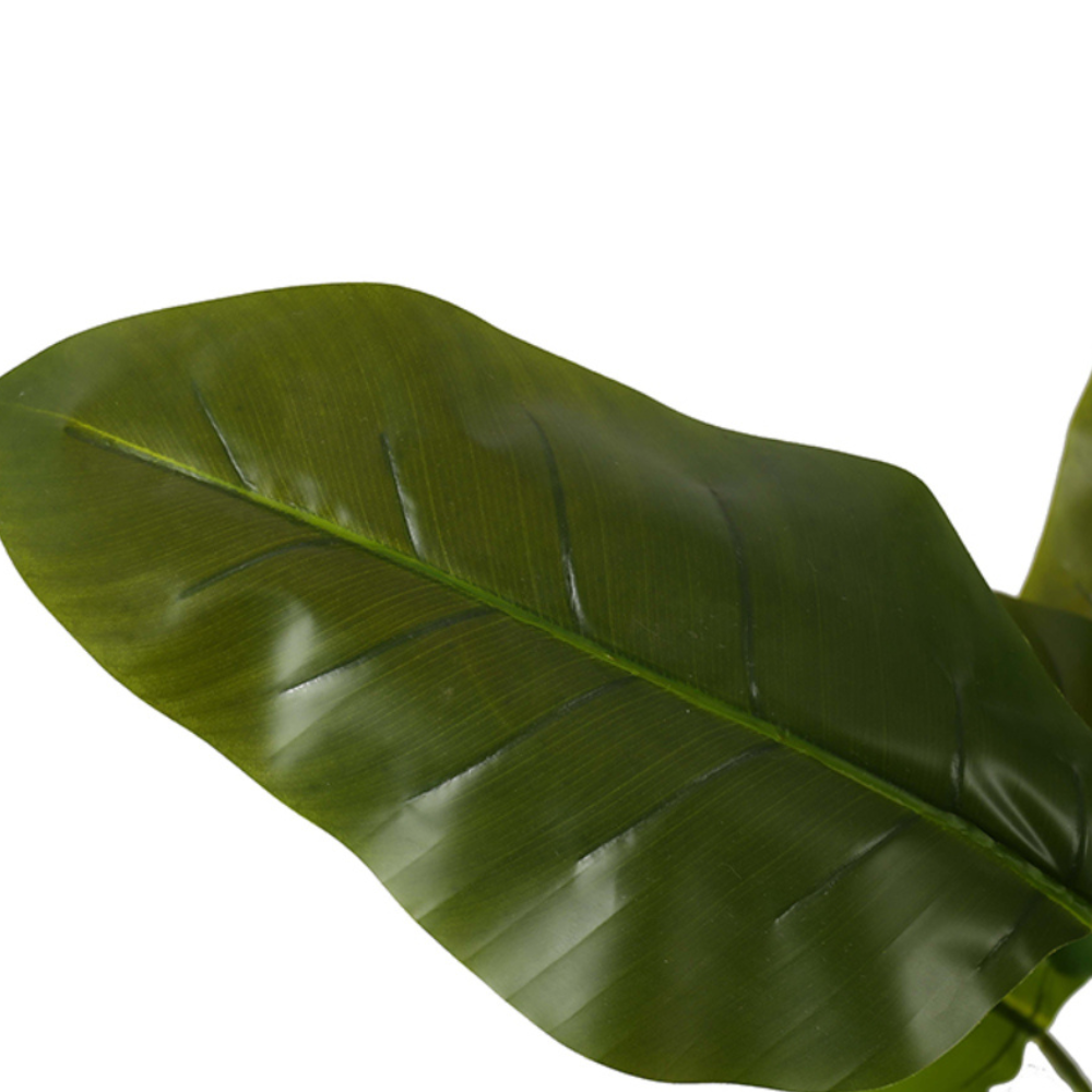 Tropical Artificial Traveler Banana Trees