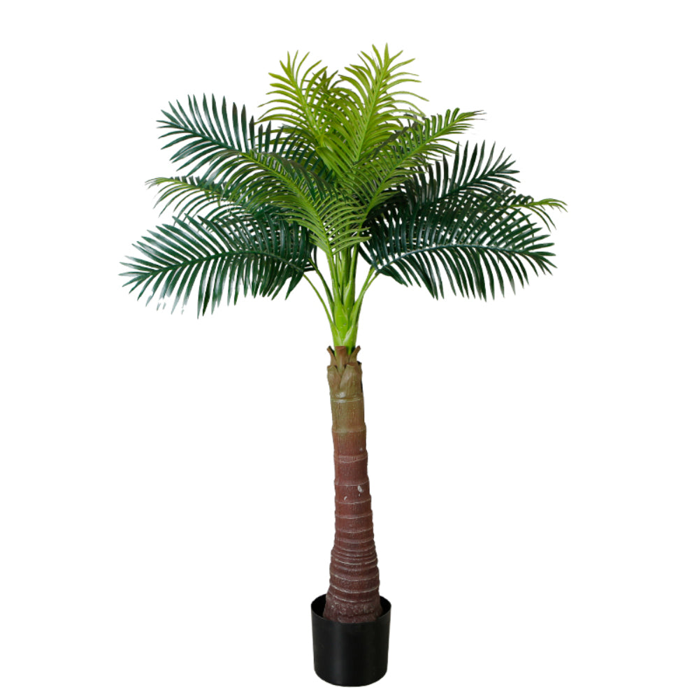 Tropical Elegance Trees