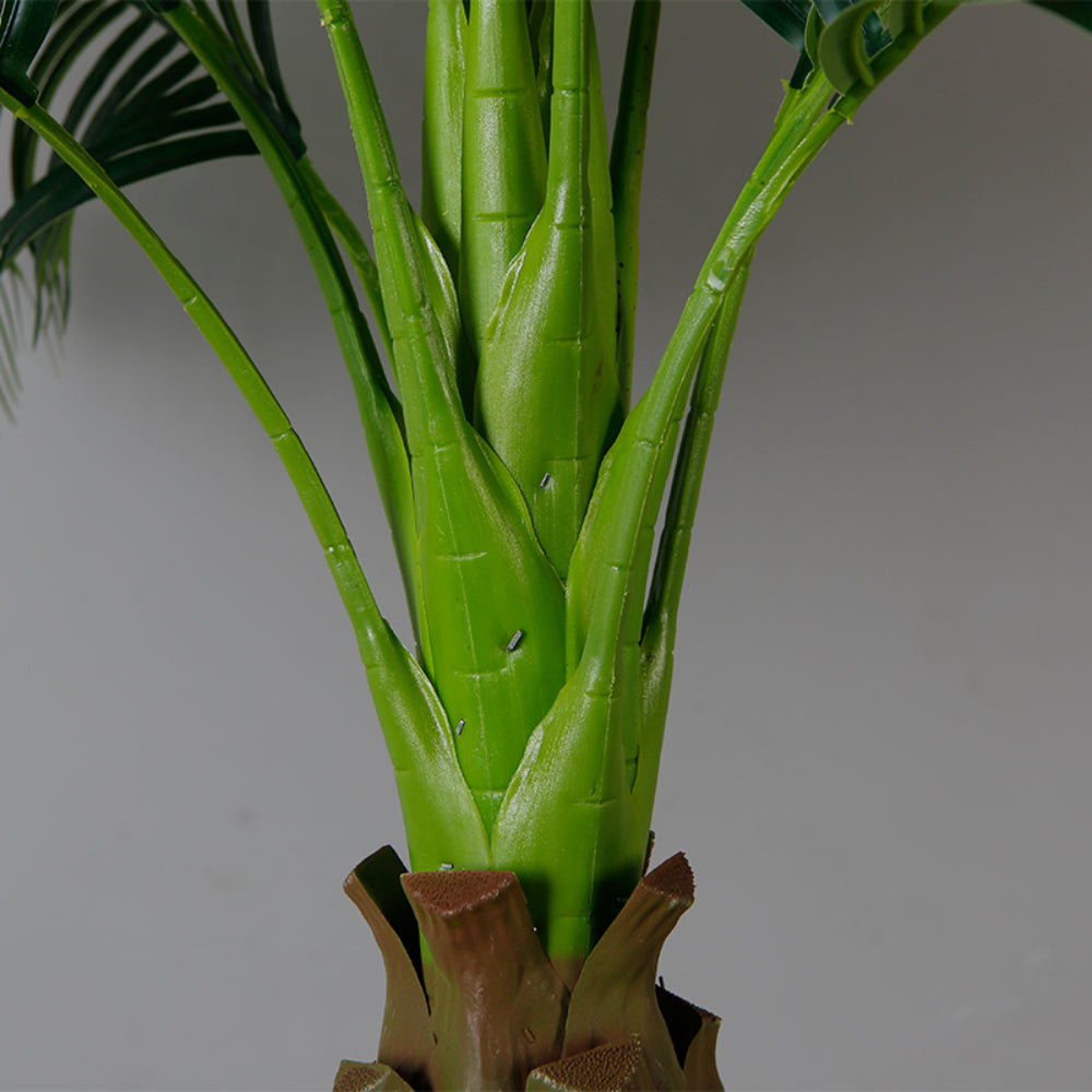 Tropical Elegance Trees