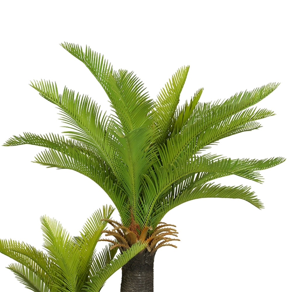 Decorative Artificial Sago Cycas Tree Plant