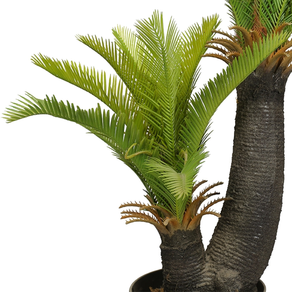 Decorative Artificial Sago Cycas Tree Plant