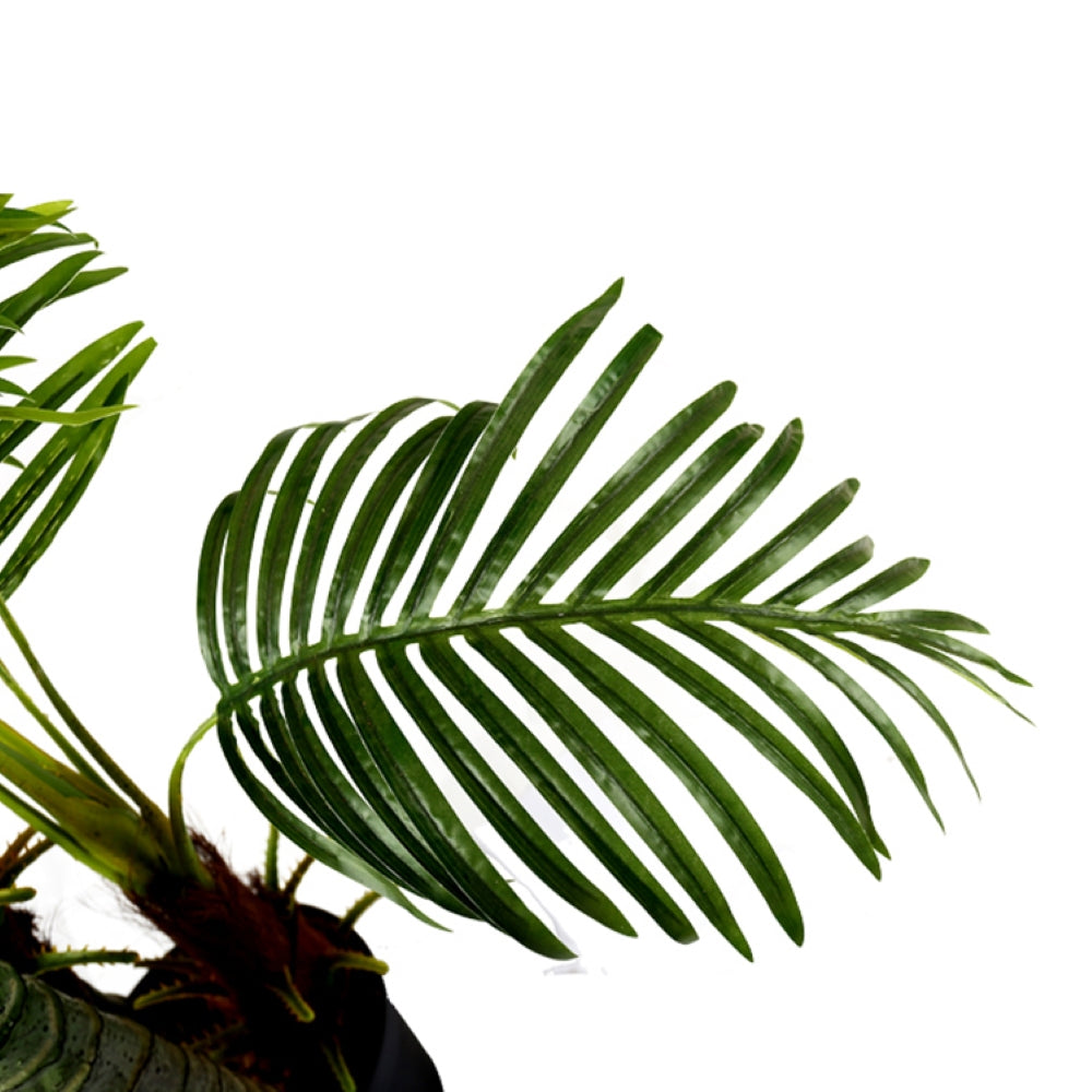 Decorative Artificial Pritchardia Gaudichaudii Tree