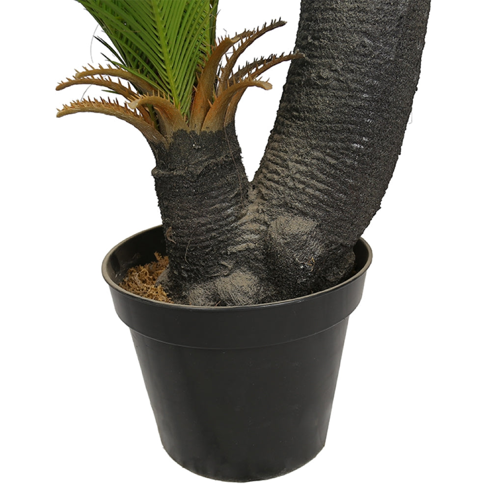 Decorative Artificial Sago Cycas Tree Plant