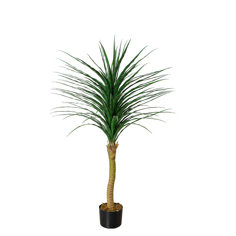Dracaena Anita Faux Tree For Interior Design