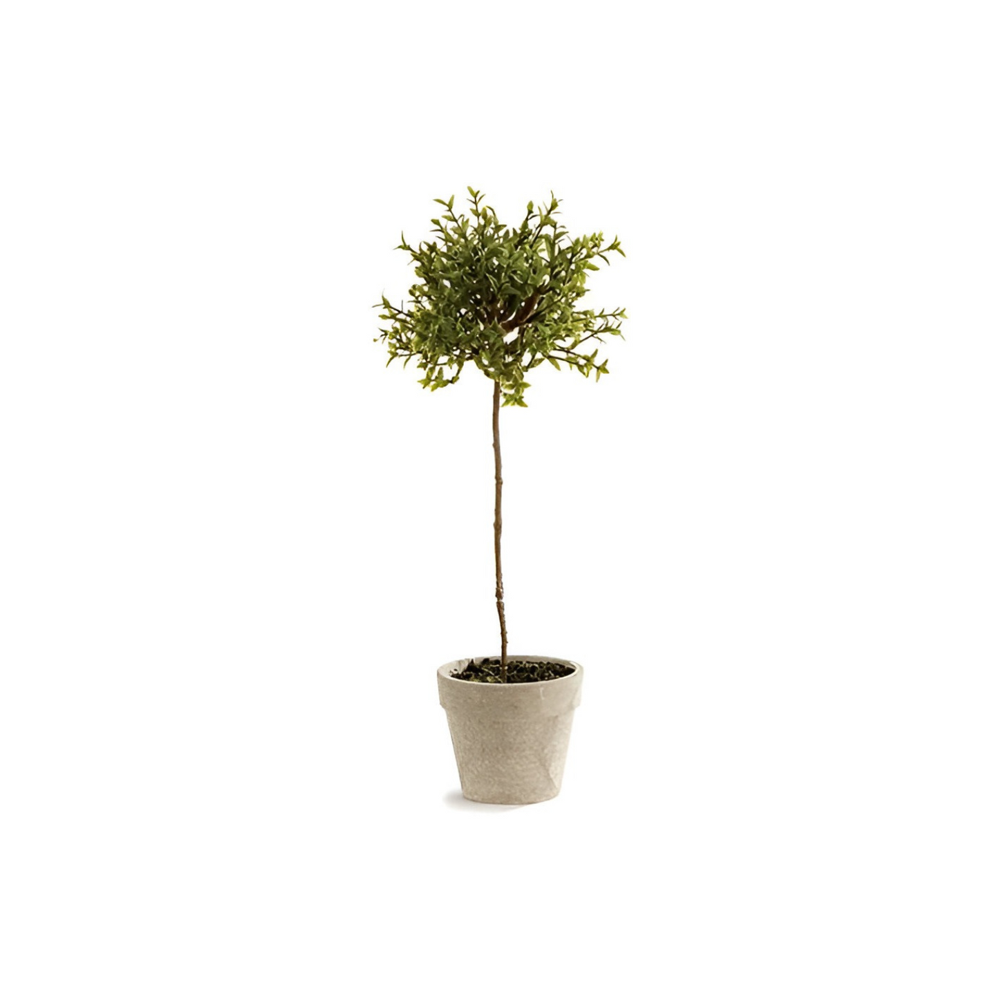 Artificial Garden Thyme Topiary