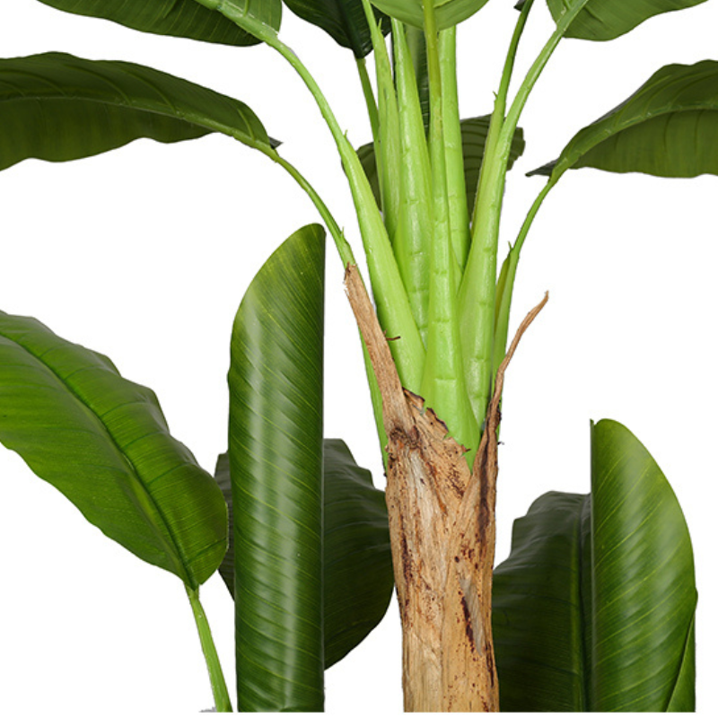 Artificial Musa Basjoo Banana Tree