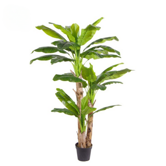 Artificial Musa Basjoo Banana Tree